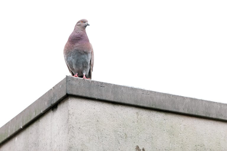 engagement photography,new jersey engagement photographer,new jersey engagement photography,new jersey family photographer,new jersey family photography,new york engagement photographer,new york engagement photography,