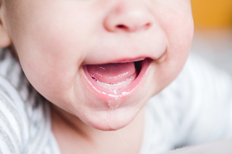 new jersey children photography,new jersey family photographer,new jersey family photography,new jersey photographer,new jersey photography,nj family photography,secaucus family photography,secaucus photographer,