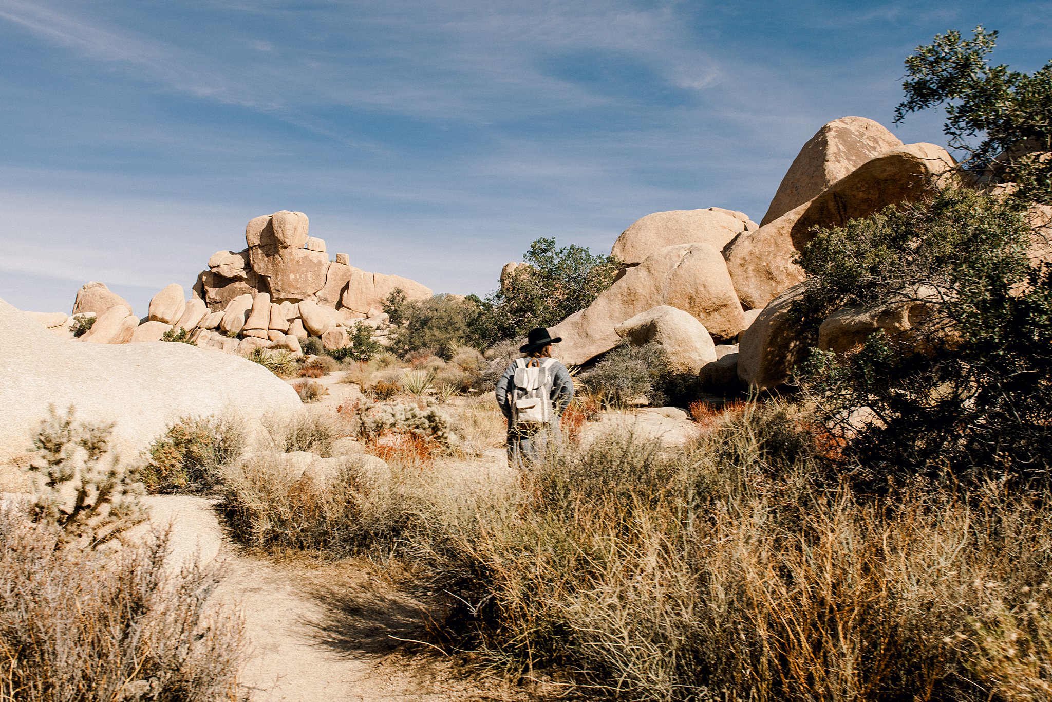 {Joshua Tree National Park} – California Travel Photography » Sarina ...