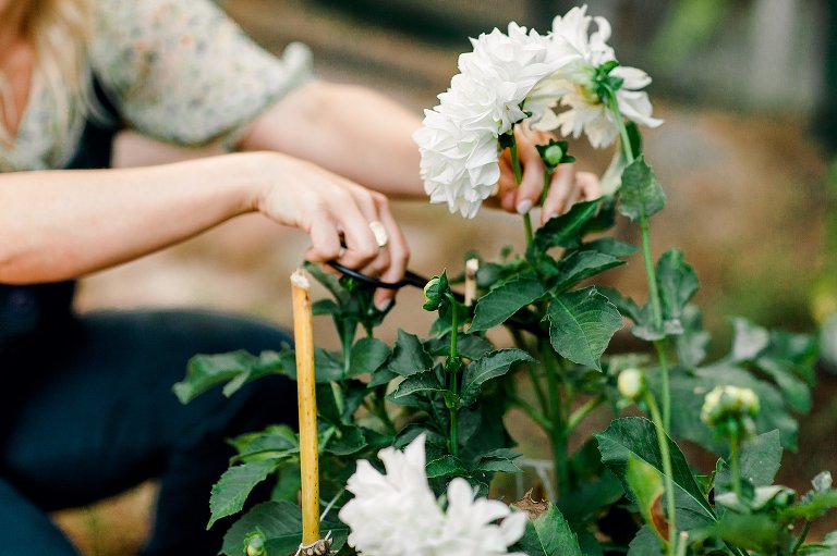 CARDIFF BEACH FAMILY PHOTOGRAPHY,CARLSBAD FAMILY PHOTOGRAPHY,DEL MAR FAMILY PHOTOGRAPHY,LA COSTA FAMILY PHOTOGRAPHY,LA JOLLA FAMILY PHOTOGRAPHY,LEUCADIA,North County San Diego photography,SOUTH PONTO BEACH,SOUTH PONTO FAMILY PHOTOGRAPHY,caRlsbad,carlsbad engagement photography,carlsbad engagemetn photography,carlsbad photographer,carlsbad wedding photography,carslbad family photography,encinitas engagement photography,encinitas family photography,encinitas local photographer,encinitas maternity photographer,encinitas newborn photography,encinitas photographer,encinitas wedding photography,la costa engagement photography,la jolla enagegement photography,pet photography,san diego,san diego engagement photography,san diego engagement photorgaphy,san diego family photography,san diego newborn photography,san diego pet photography,san diego photography,san diego wedding photography,san marcos engagement photography,san marcos wedding photography,sanmarcofamilyphotography,